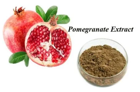 Plant Extract CAS 476-66-4 Punicarin Ellagic Acid