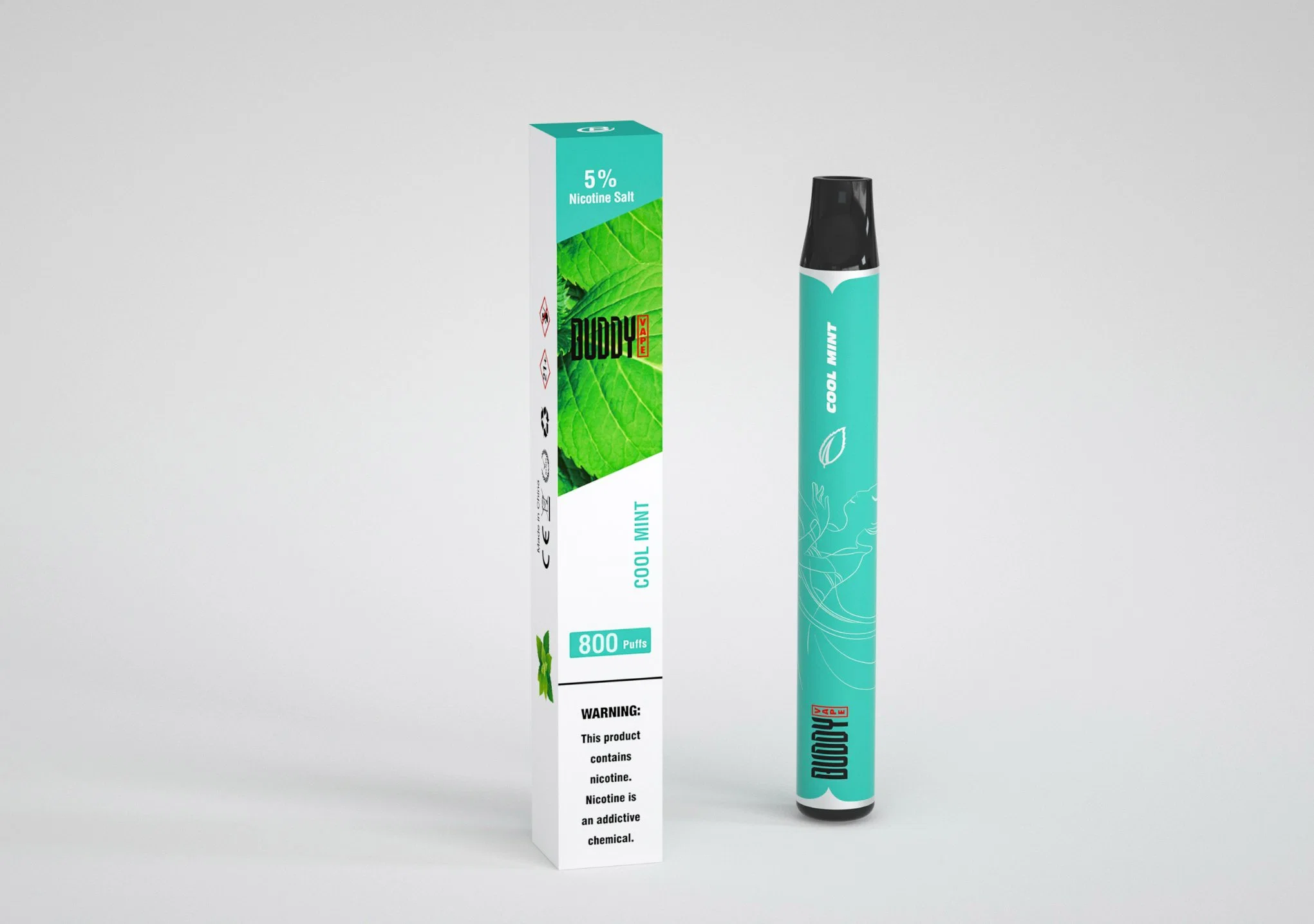 Wholesale/Supplier Disposable/Chargeable Device Big Smoking 550mAh Battery Vape Pen