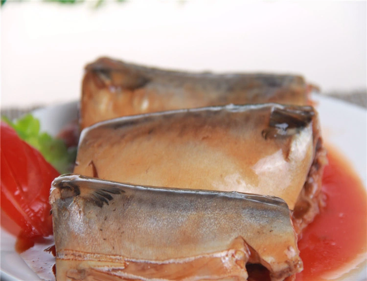 Chinese Famous Canned Food Mackerel Fish in Tomato Sauce