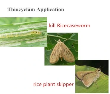 Agrochemical Thiocyclam Hydrogen Oxalate 50%Sp 90%Tc 31895-22-4