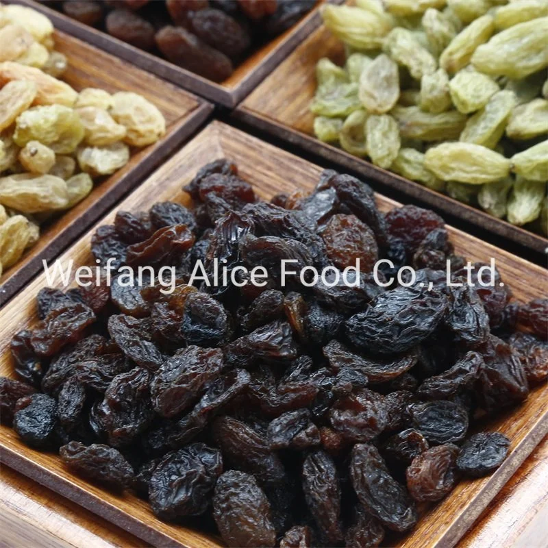 New Crop Halal Kosher Certificated Xinjiang Turpan Raisins Supplier Dried Raisin Black Raisin