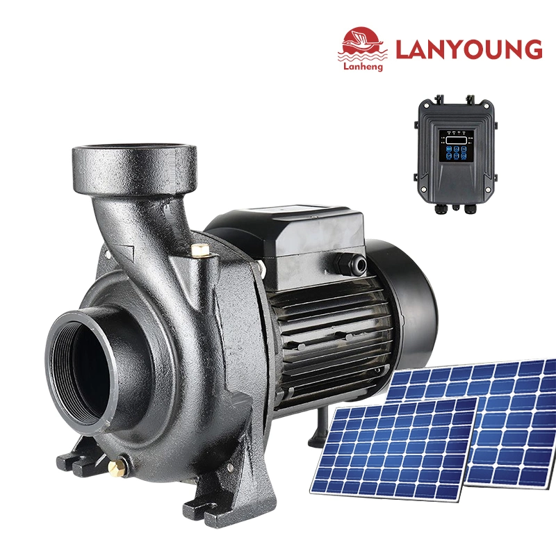 750W 48V Pompe à eau solaire à amorçage automatique à moteur sans balais intelligent pour l'irrigation avec des panneaux.