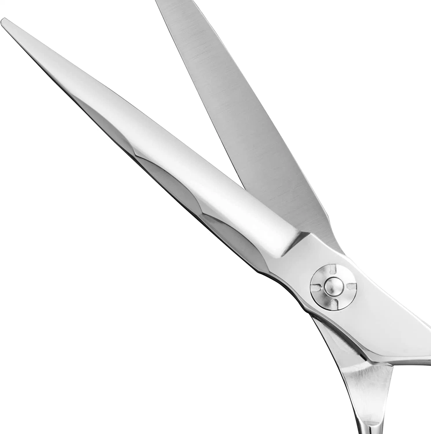 Specialized Barber Scissor Sharp Stainless Steel Blades Hair Cutting Scissors (6.5-Inch)