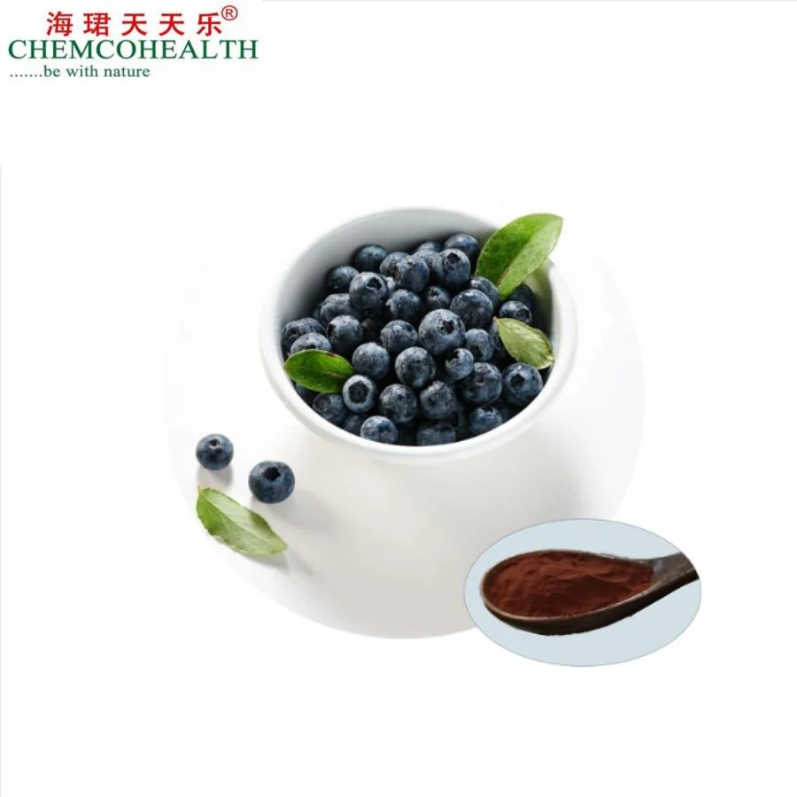 100% Natural Food Grade Rich in Anthocyanins Bilberry Extract