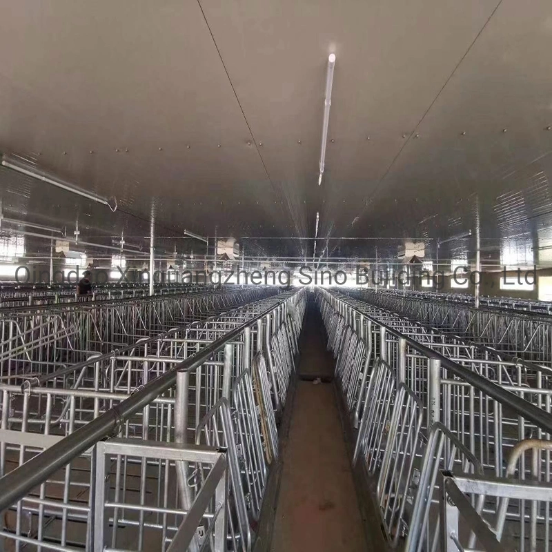 China Construction Fast Installed Light Steel Structure for Poultry Pig Cow Shed