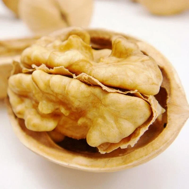 New Crop Harvest Walnut/Walnut in Shell / Walnut Kernel /Food Chinese Nut