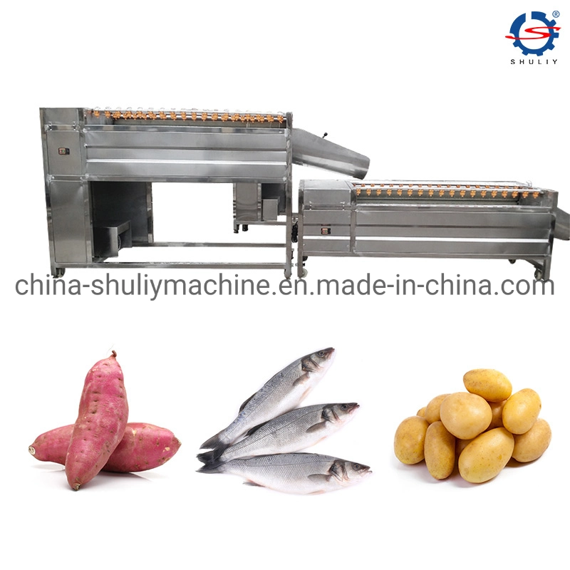 Industrial Fresh Vegetable Fruits Cleaning Machinery Dry Dates Washing Machine for Sale