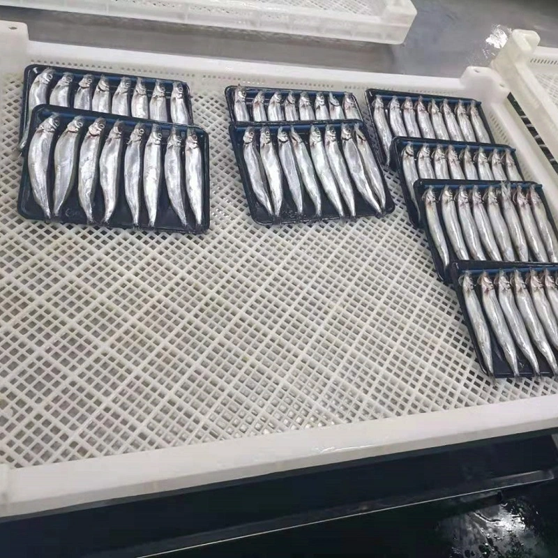 Nuevo la captura de capelán/Shishamo congelados de pescado para la venta de capelán Bqf IQF a Singapur