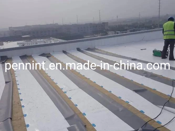 China Fabricante de la membrana impermeable de impermeabilización de cubiertas TPO con ISO&amp;CE