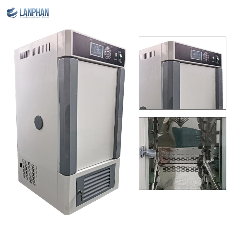 Microbiological Mould Cultivation Thermostat Biochemical Incubator Machine for Sale