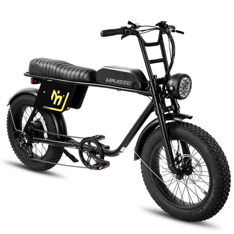 Joykie High Quality 750W City Cruiser Commuter Chopper Fat Tire Electric Motorbike Bicycle