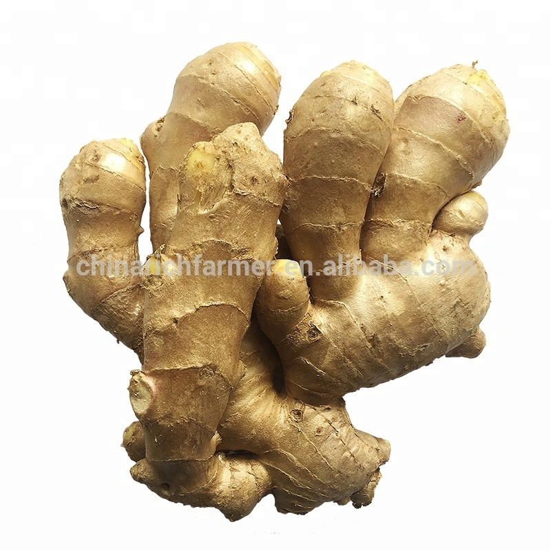 Good Quality Wholesale/Supplier Ginger Price Air Dry Ginger