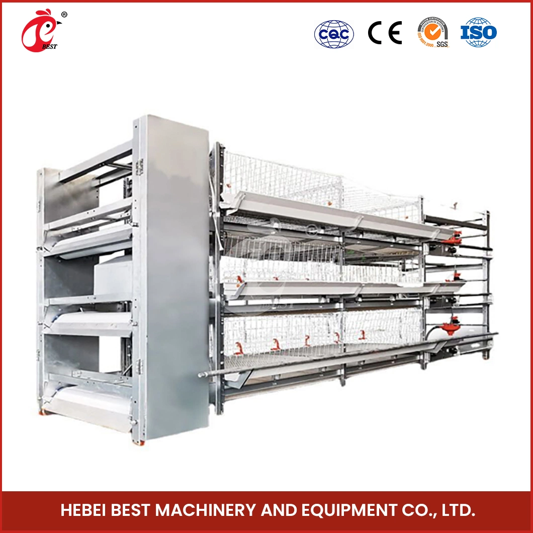 Bestchickencage China Chicken Laying House Factory H Frame Automatic Boriler Cages ODM Custom Acrylic Material 8h Fully Automated Battery Layer Chicken Cages