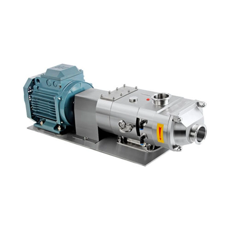Us 3A Food Processing Positive Displacement Twin Screw Pump with Electric Motor
