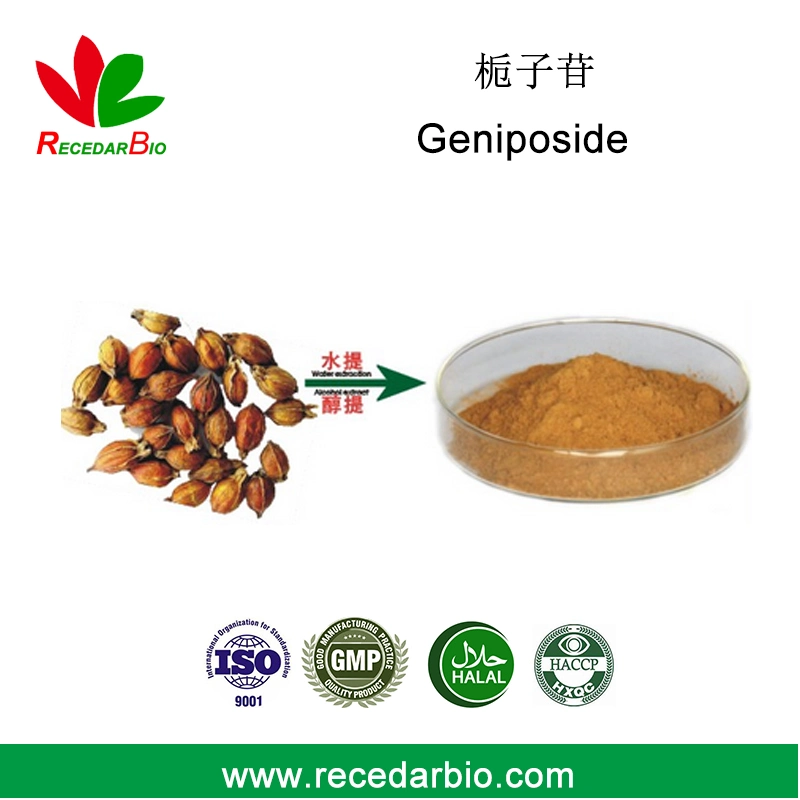 Natural 1%~99% HPLC Geniposide Powder with CAS 24512-63-8