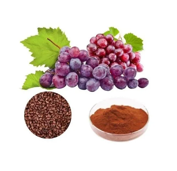 High Purity Plant Extract Grape Seed Extract >95% OPC (100% Natural) Plant Herbal Extract Powder Vitis Vinifera Food Additive Antioxidant Proanthocyanidins