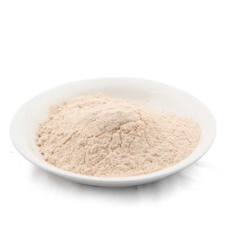 Fd Fruit Powder Fruit Flavor Juice Freeze Dried Apple Powder