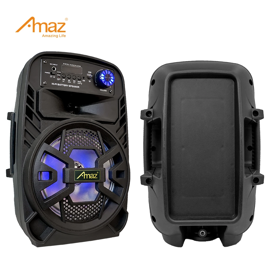 Amaz Fabrik Großhandel/Lieferant Maßgeschneiderte 8 Zoll Tragbare Lautsprecher Bluetooth-Lautsprecher Mit RGB-Licht