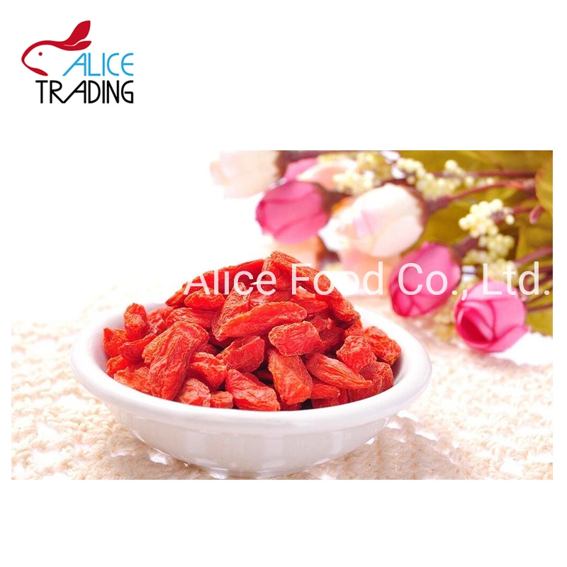 Venta caliente Chino tradicional de secado de alimentos saludables Bayas de Goji Goji seco Woflberry