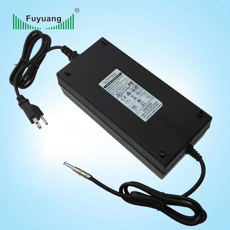 Fuyuang enchufe internacional de alta calidad LiFePO4 cargador de batería 42V 36V15A