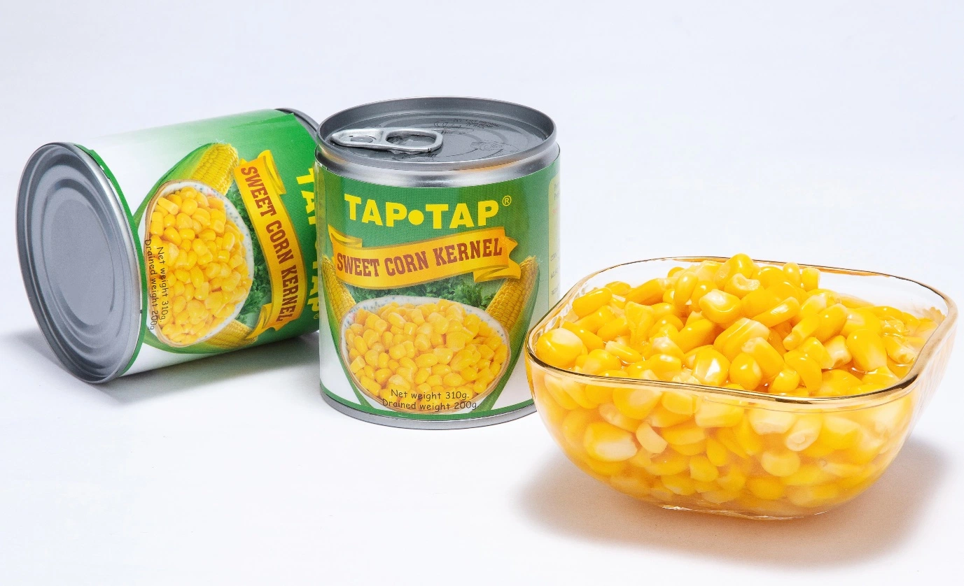 New Crop Fresh Sweet Corn 310g in Canned with OEM