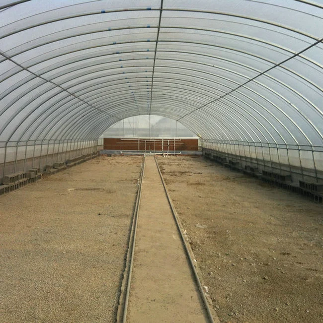 China Single Span Tunnel Greenhouse Made Used for Agriculture