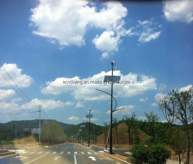 400W24V Vertical Wind & Solar Panel System for Street Light