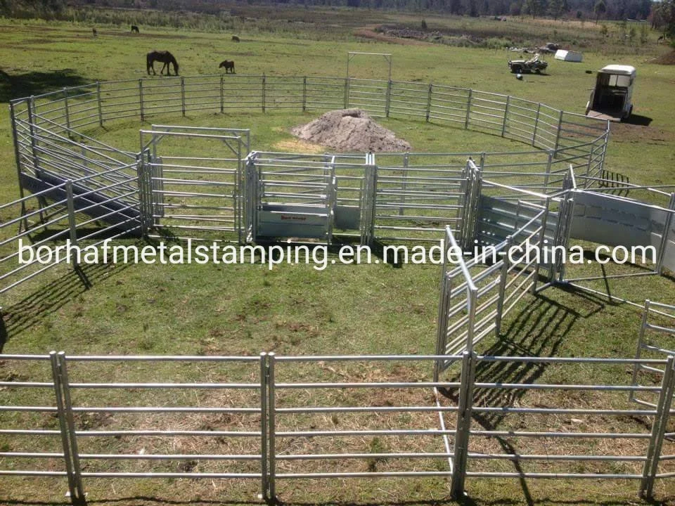 Horse Round Yard Panels, Australia Corral Panels, Cattle Gate Metal Frame Material and Rodent Proof Feature Livestock Farm Fence Panel with Gate