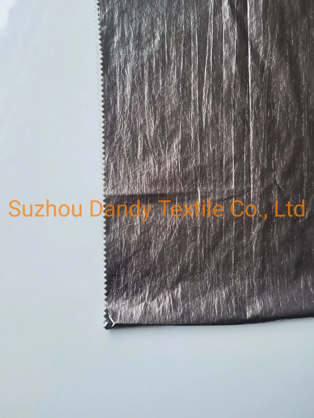 420T 20D100%Nylon taffetas de nylon d'aluminium mat Wr Tissu de veste et de vêtement