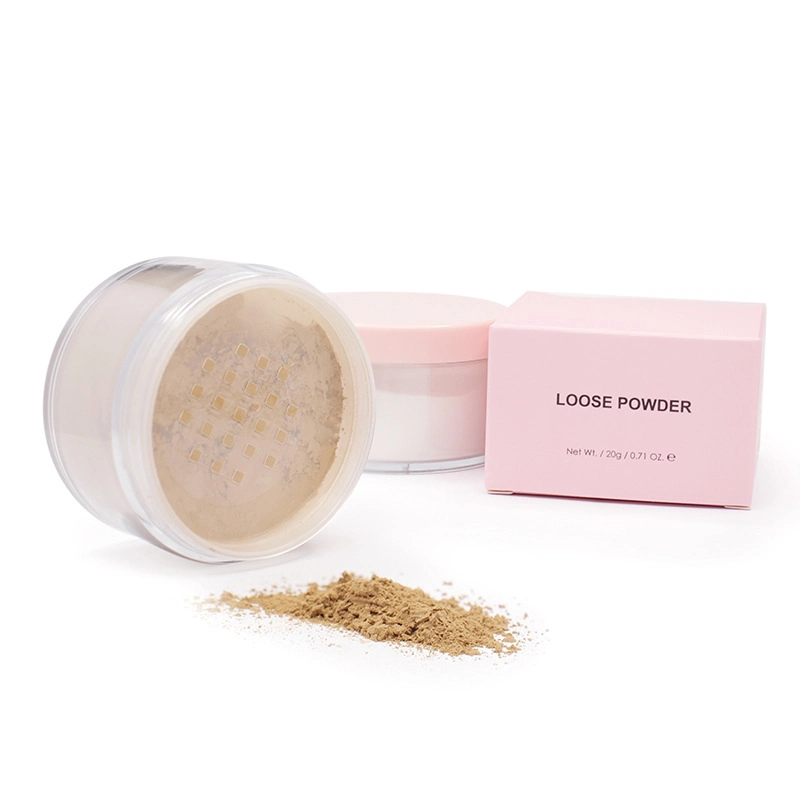 Setting Loose Powder Professional Powder Foundation Translucent Light Color Cosmetics Camouflage Concealer Private Label/Wholesale/Supplier