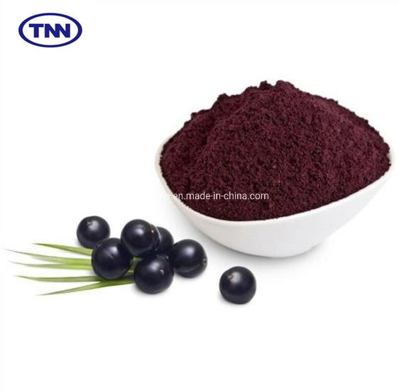 Factory Wholesale/Supplier Procyanidins Anthocyanidin Black Elderberry Powder