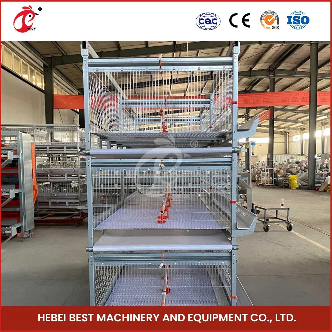 Bestchickencage H Type Pulled Brooder Cage Breeder Cage China Chicken Breeder Pullet Cage Factory OEM Custom Bamboo Material Baby Broiler Chicken Cage a Type