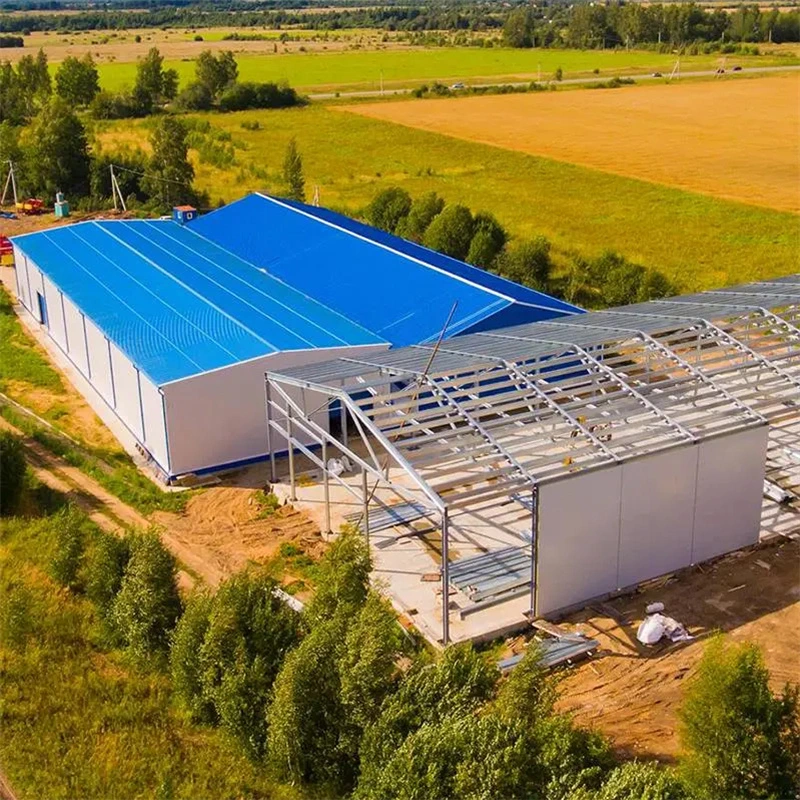 China Low Cost Prefab Metall Stahl Struktur Farm Building Kuh Hühnerschaf Scheune Schuppen zum Verkauf