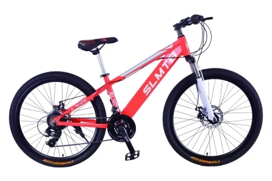 2021 Modern Style Factory Price Mountain Bike Best Adult Dirt Bicycle