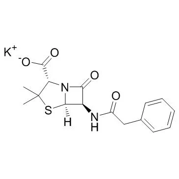 CAS113-98-4، مادة خام صيدلانية بينسيلين جي بوتاسيوم مع الطبقة العليا