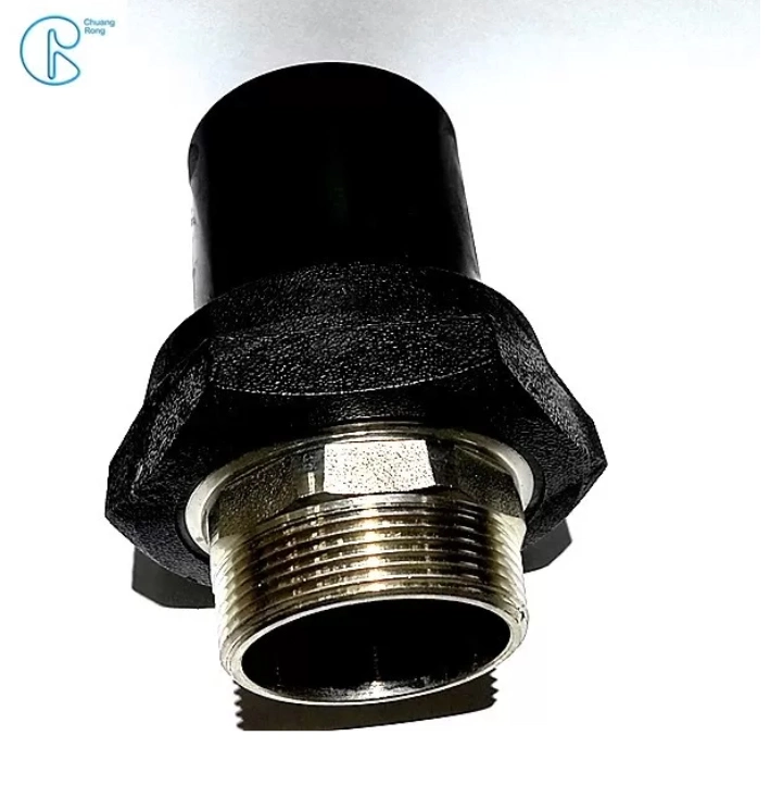 Plastic HDPE Fittings Bsp NPT Thread Male Union Adaptor