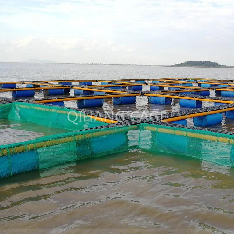 Fish Cage for Sea Farms, Fish Farming Equipment