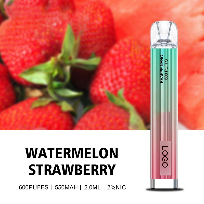 2023new Design Best Selling 600puffs Fruit Flavors Disposable/Chargeable Vape Pen in Stock