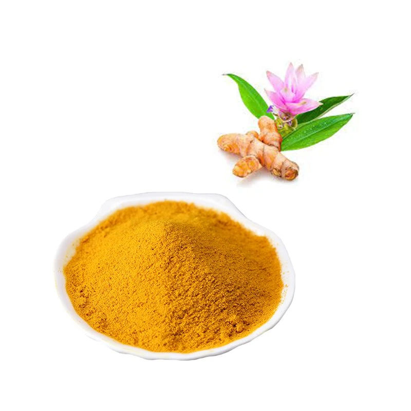 Curcumin Pulver