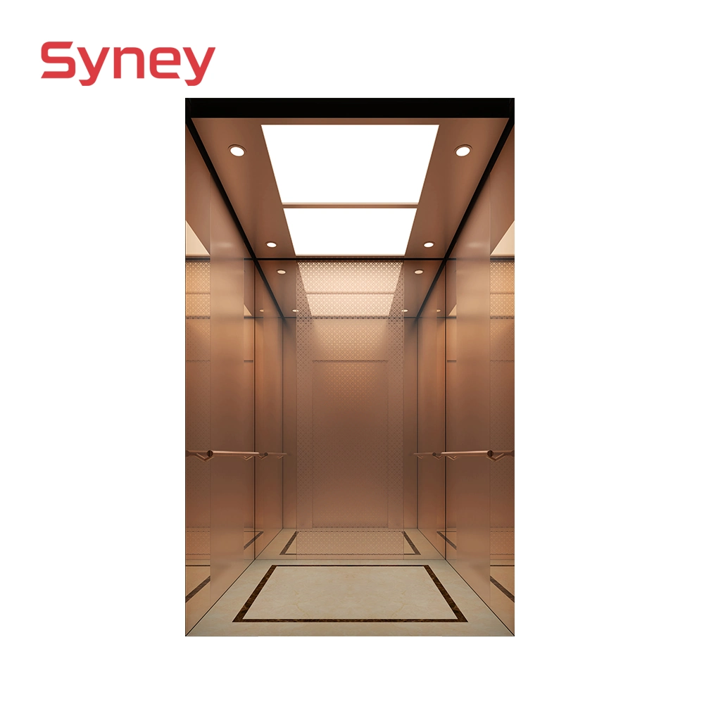 Máquina de tracção orientada Syney mercadorias do motor de elevador de carros elevadores de passageiros residencial