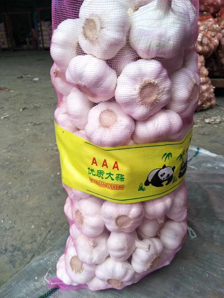 Nueva cosecha de ajo fresco exportador de China el blanco puro de los precios de ajo