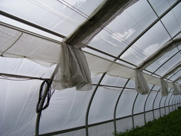 Multi-Span Agricultural Greenhouses Equipment Hydroponics System Sunshade Net/Sunshine