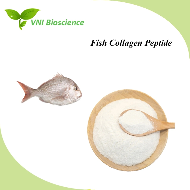 Kosher & Halal Certified Food Grade Fish Collagen