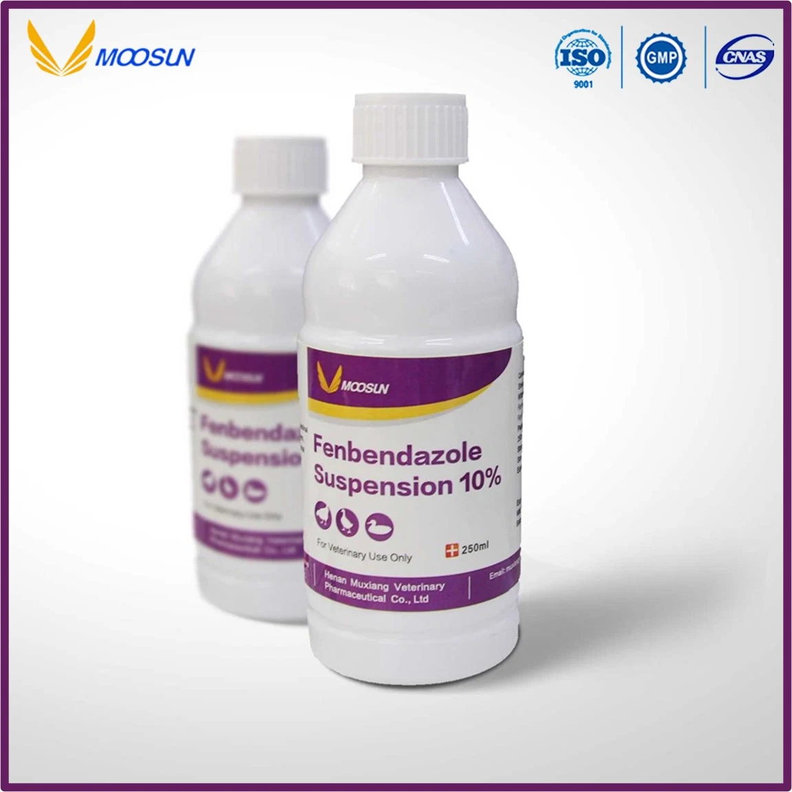 Veterinary Medicine Florfenicol Oral Solution 10% (Animals Use) ISO GMP