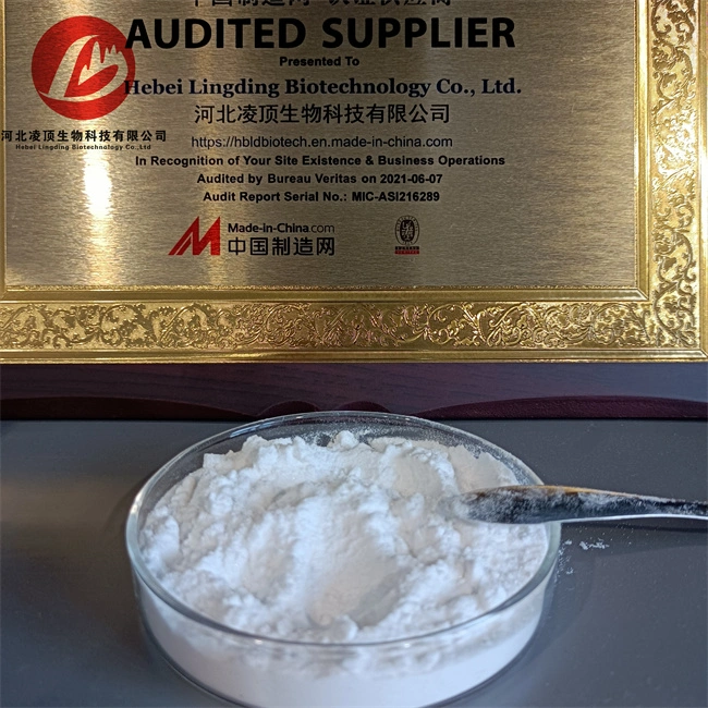 Hot Selling High Quality Adenosine 5&prime; -Triphosphate Disodium Salt CAS No. 987-65-5