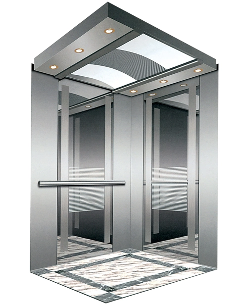 Professional Passenger Elevator with Advanced Technology