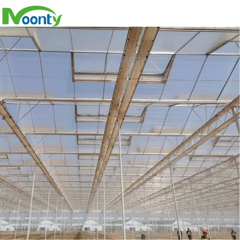 Factory Supplied Multi Spans Greenhouse with 8mm PC Hollow Transparent Sheet