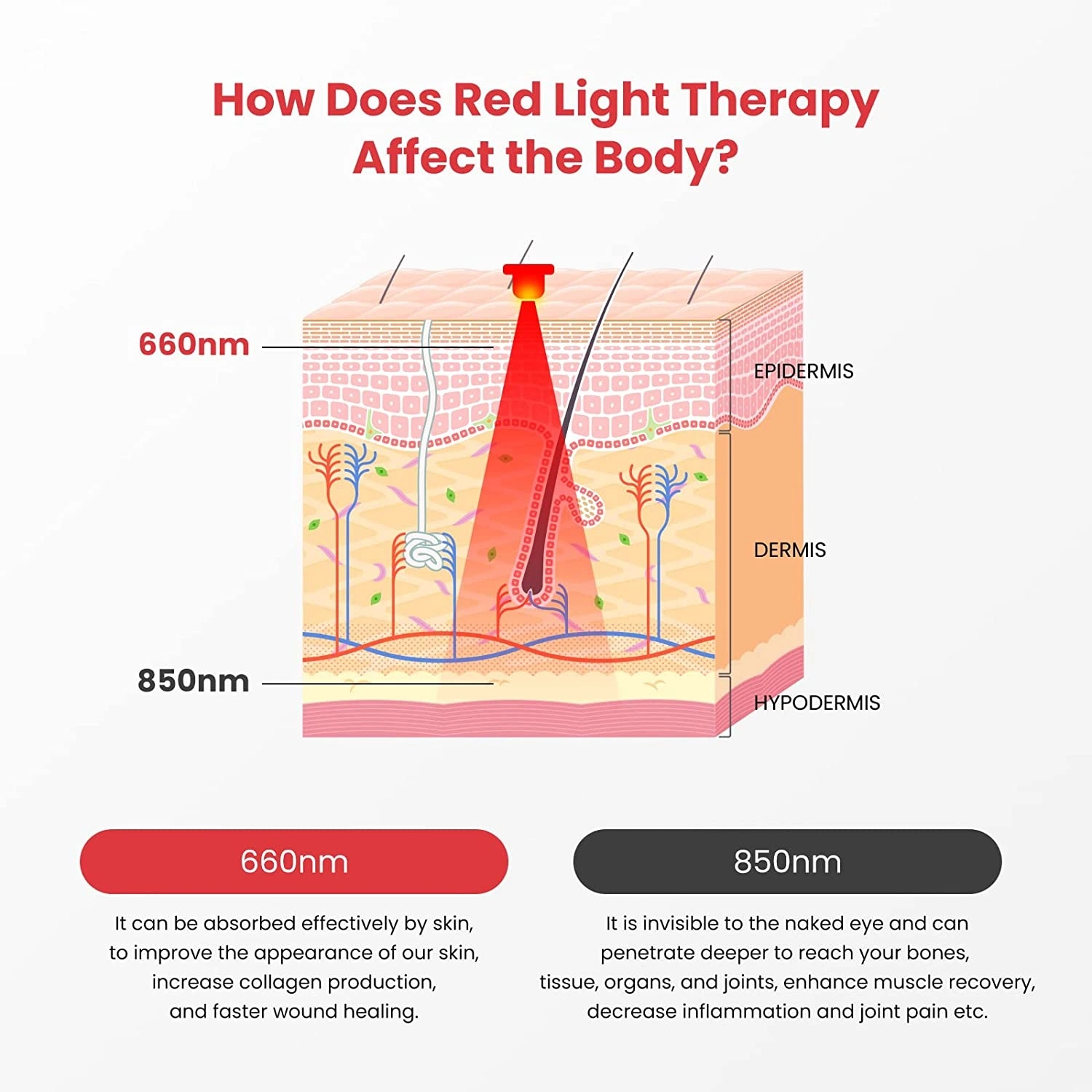 Soulagement de la douleur du ventre traitement infrarouge par lumière rouge 660nm 850nm Livre Cicatrisation perte de poids massage chaleur ceinture d'amincissement