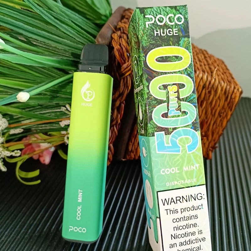 Vape 5000inhalaciones poco enorme bobina de malla desechables recargable Vape Pen