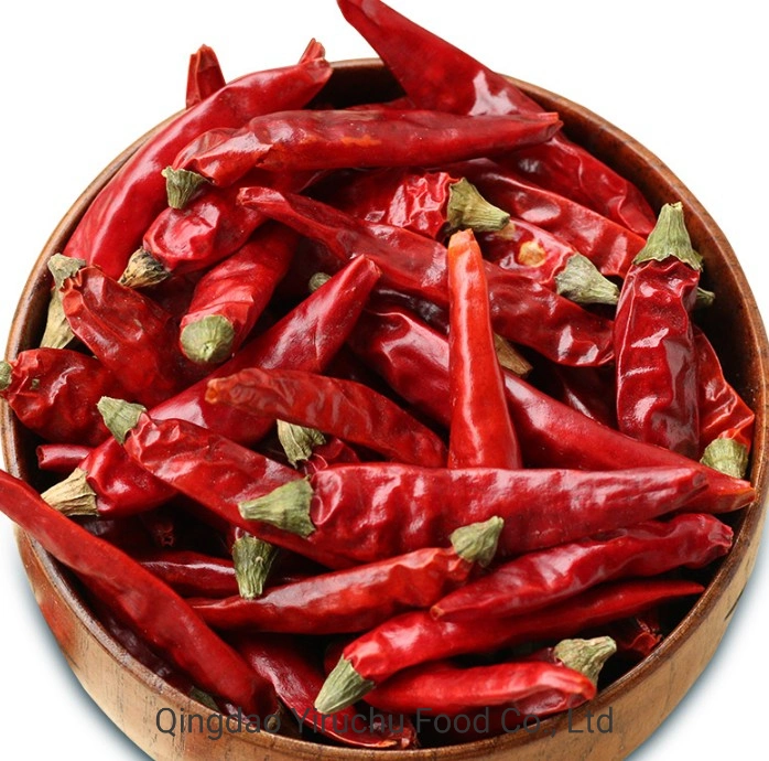 Red Chilli Exported to Domestic and Overseas Markets